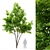 6m Ash Tree: 534,727 Polys, 768,305 Verts 3D model small image 1