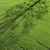 Premium Turf - Lush Lawn Grass 3D model small image 2
