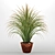 Exquisite Bouquet Grass: Perfect for Closeup Renders 3D model small image 1