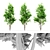 Tall and Majestic Ash Tree 3D model small image 2