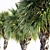 Tropical Paradise Palms 3D model small image 2