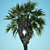 Tropical Paradise Palms 3D model small image 4