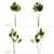 Evergreen Twin Beauties: Two Pine Trees 3D model small image 2