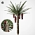 Tropical Paradise Palm Tree 3D model small image 1