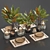 Magnolia Leaf Table Setting 3D model small image 1