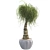 Succulent Beauty: Ponytail Palm 3D model small image 4