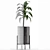 Exotic Decorative Palm Tree: House Plant 3D model small image 4