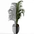 Exotic Palm Tree - Perfect Office Decor 3D model small image 2