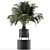 Exotic Palm Tree: House Plant 31 3D model small image 3