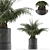 Tropical Palm Tree Decor 3D model small image 1