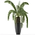 Exotic Palm Tree: House Plant 41 3D model small image 2