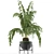 Exotic Palm: House Plant 42 3D model small image 2