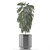 Exotic Palm Tree: Single Plant 02 3D model small image 4