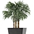 Exotic Plant: Single Banana Palm 3D model small image 2