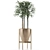 Exotic Palm Tree - Single Plant 10 3D model small image 2