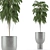 Tropical Elegance: Single Plant 11 3D model small image 1