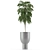 Tropical Elegance: Single Plant 11 3D model small image 2