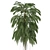 Tropical Elegance: Single Plant 11 3D model small image 3