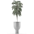 Tropical Elegance: Single Plant 11 3D model small image 4