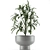 Exotic Palm Tree Pot - Single Plant 12 3D model small image 2