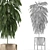 Exotic Palm Tree: Single Plant 13 3D model small image 4