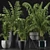 Exotic Palm Trees: Plants Collection 3D model small image 2