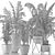 Exotic Palm Trees: Plants Collection 3D model small image 5