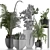 Exotic Plant Collection: Decorative Palm Trees, Office Flowers & More 3D model small image 4