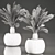 Tropical Exotic Collection: Cycas Palms & Indoor Plants 3D model small image 5
