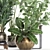 Exotic Plant Collection: Ficus, Palm, Banana 3D model small image 2