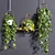 Lush Hanging Scindapsus Duo 3D model small image 1