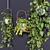 Lush Hanging Scindapsus Duo 3D model small image 4