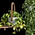 Lush Hanging Scindapsus Duo 3D model small image 9