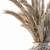 Hand-drawn Wheat Vase: Dried Plants 3D model small image 2