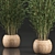 Exotic Bamboo Tree in Rattan Basket - Indoor Tropical Plant Collection 3D model small image 2