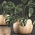 Tropical Monstera in Rattan Basket 3D model small image 4