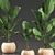 Exotic Licuala Palm in Rattan Basket 3D model small image 4