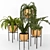  Corona Plant Set | 3DSMAX, FBX 3D model small image 1