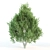 Towering Laurus: 12m & 12.6m Heights 3D model small image 2