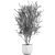 Exotic Olive Tree in White Pot 3D model small image 5