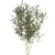 Exotic Olive Tree in Black Vase: Decorative Interior Plant 3D model small image 5