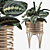 Elegant Rattan Maranta Stand 3D model small image 1