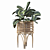 Elegant Rattan Maranta Stand 3D model small image 4