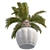 Optimized Sago Palm Pot 3D model small image 3