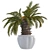 Optimized Sago Palm Pot 3D model small image 4