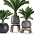 Tropical Palm Collection: Exotic Indoor Plants 3D model small image 2