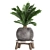 Tropical Palm Collection: Exotic Indoor Plants 3D model small image 3