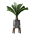 Tropical Palm Collection: Exotic Indoor Plants 3D model small image 4