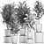 Tropical Plant Collection: Olive, Bamboo, Ficus 3D model small image 5