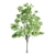 Enchanting 4-Piece Corona Tree Set 3D model small image 3